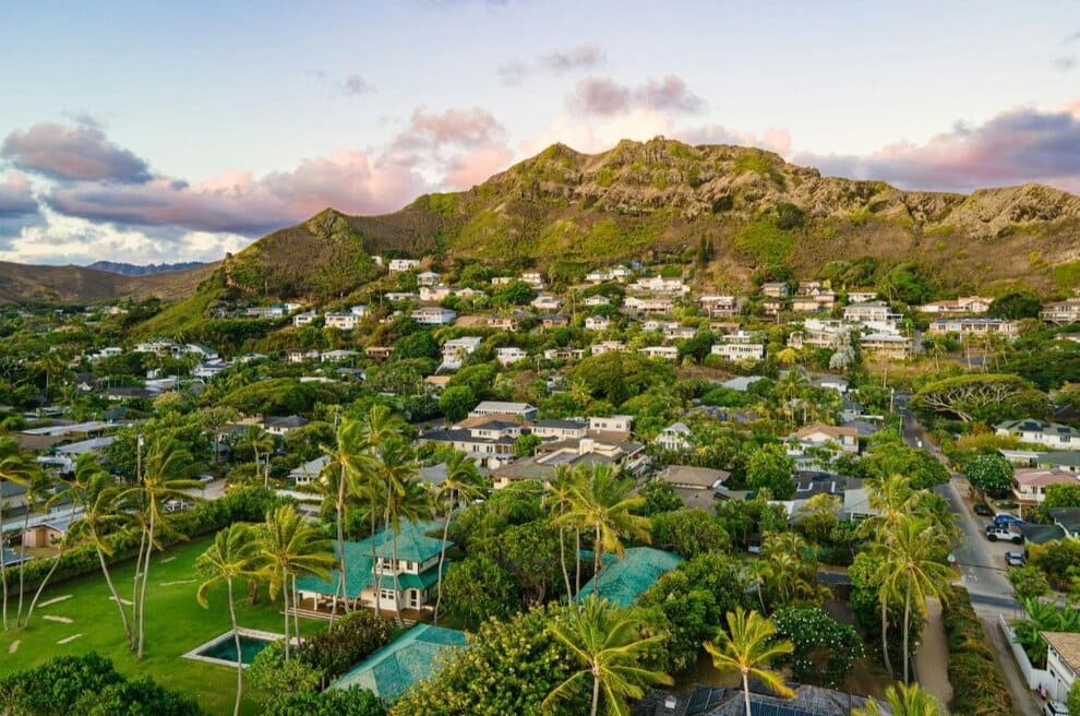 Hawaii View