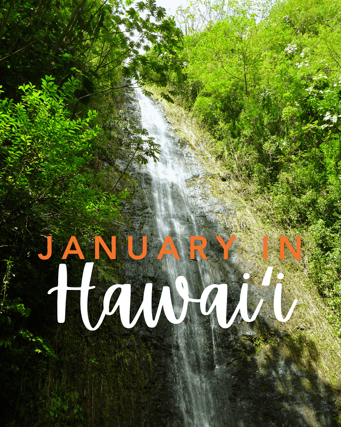 January in Hawai'i: A Slower, Grounded Start to the Year