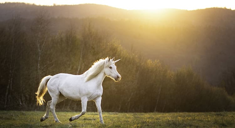 Today's Real Estate Market: The 'Unicorns' Have Galloped Off