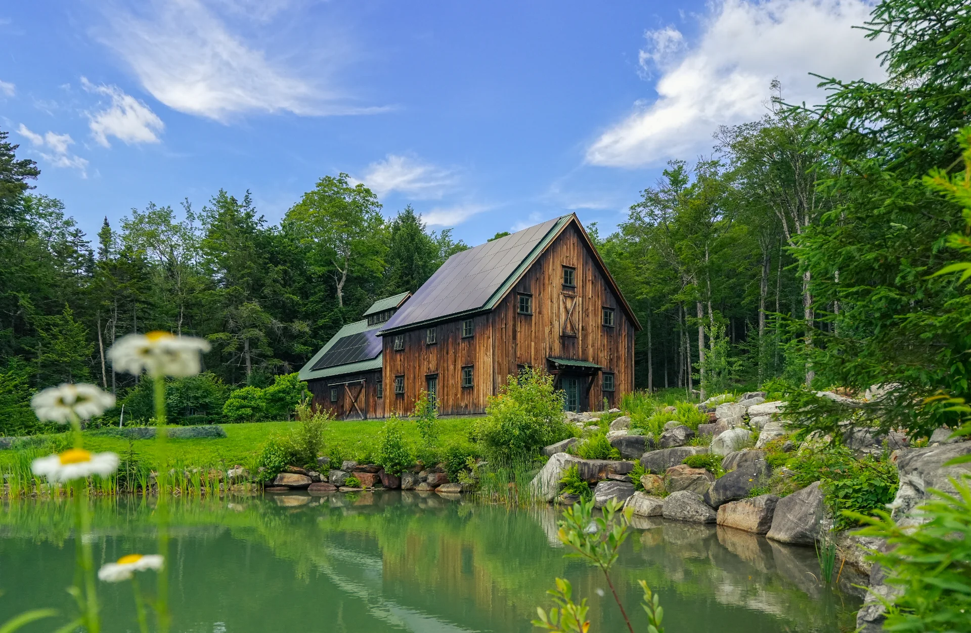 Real Estate Photo