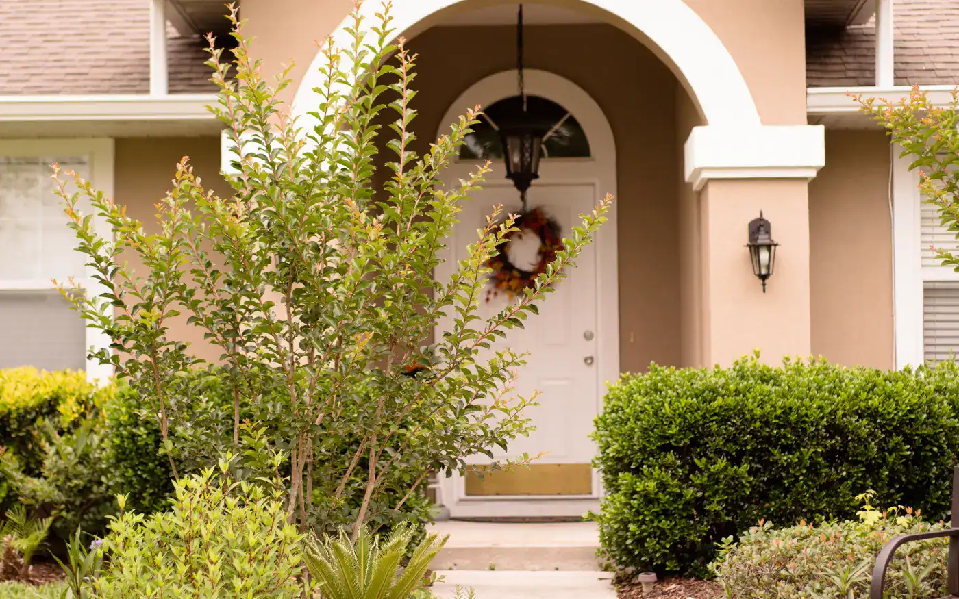 Stucco home entry with an arched doorway and desert landscaping