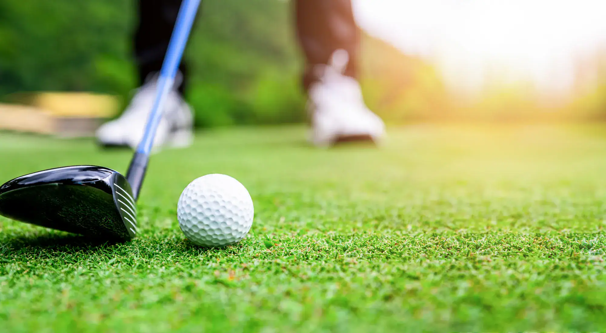 Golf ball on a green