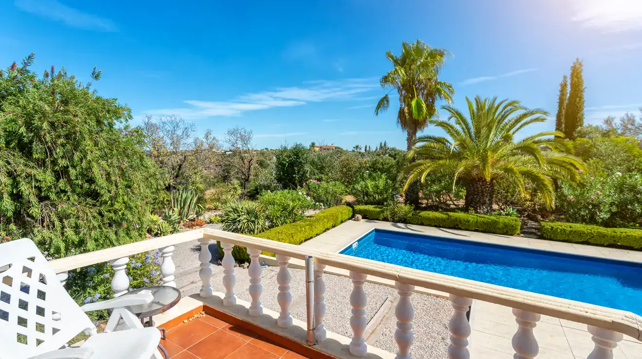 Terrace overlooking a pool and palms