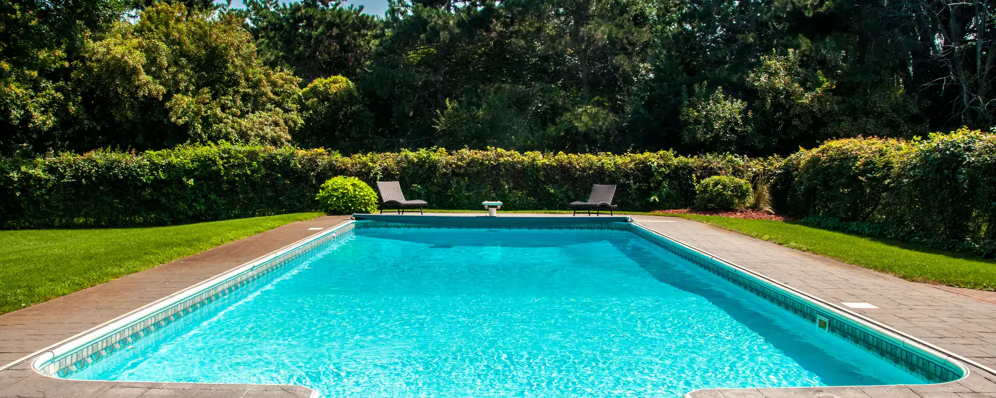 Backyard swimming pool and lawn