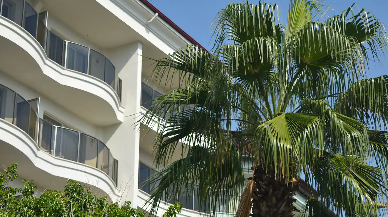 Modern house with palm trees