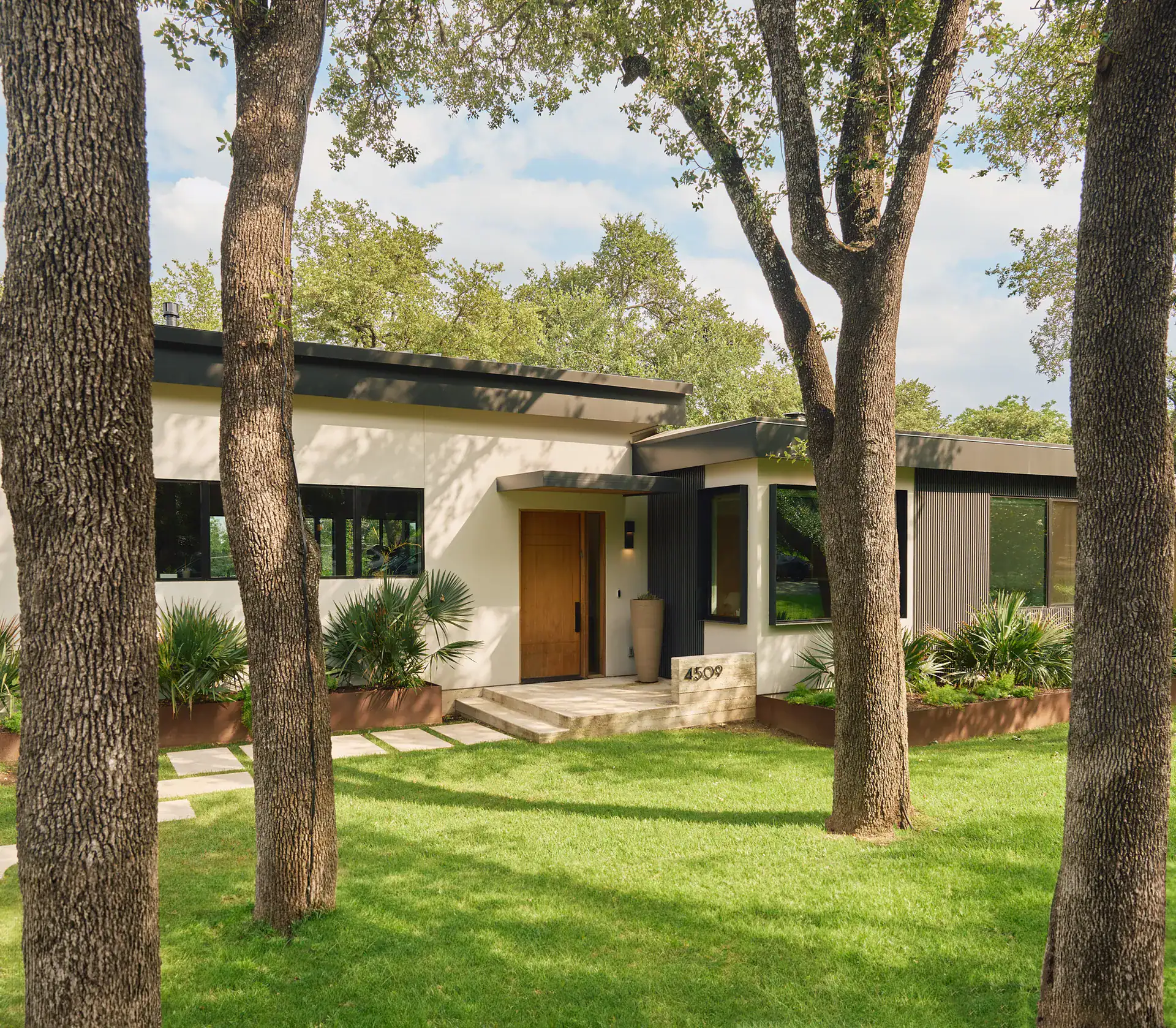 Modern single-story home framed by trees