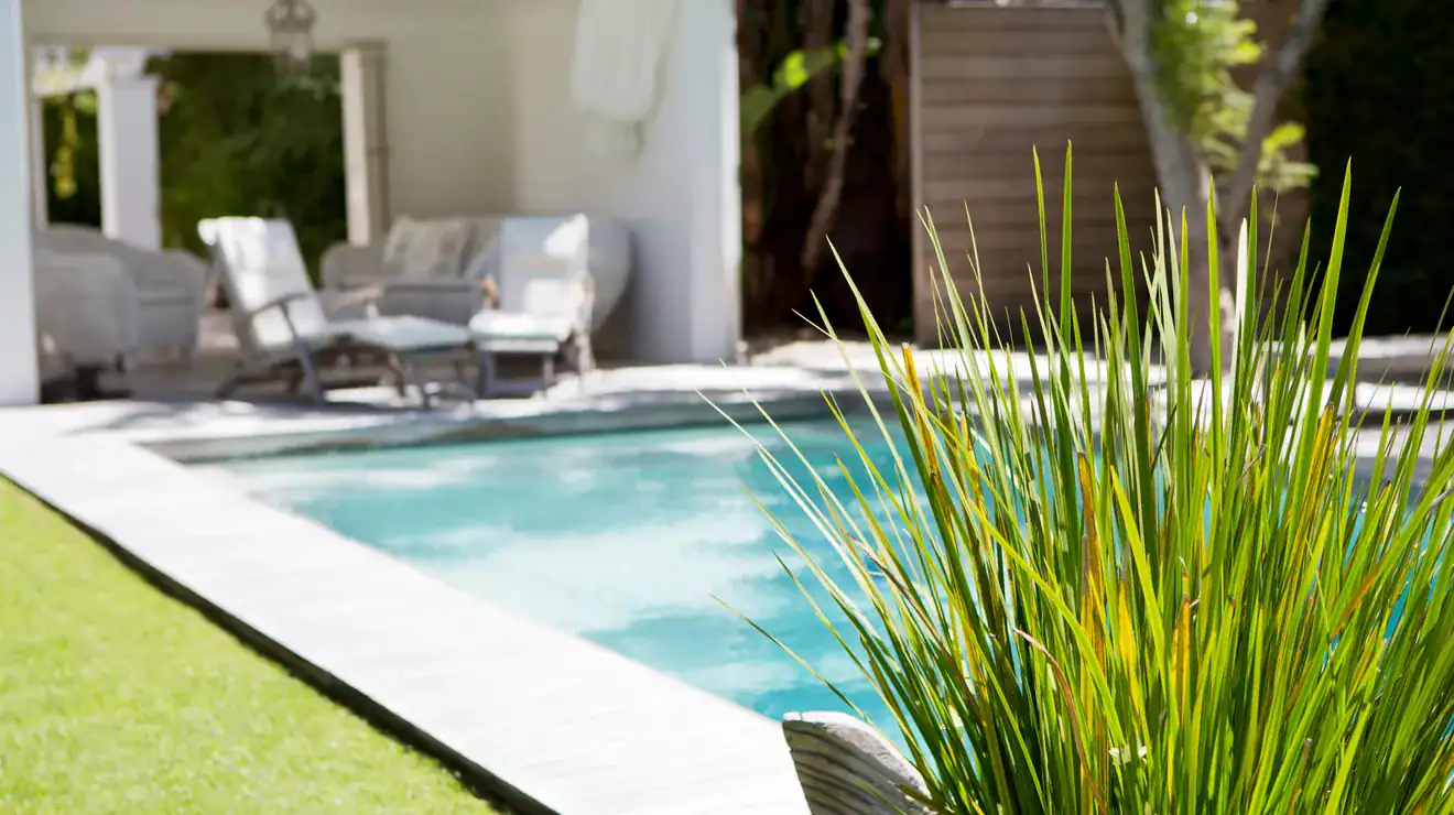 Swimming pool with plants in a backyard