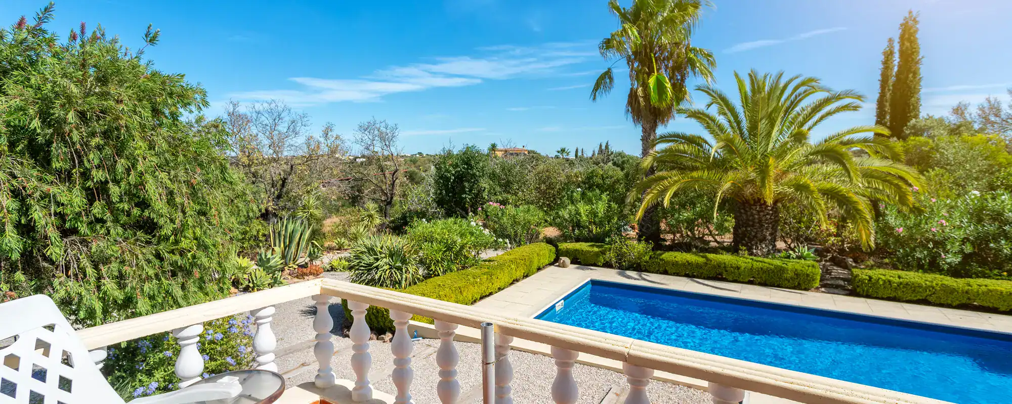 Terrace overlooking a pool and palms