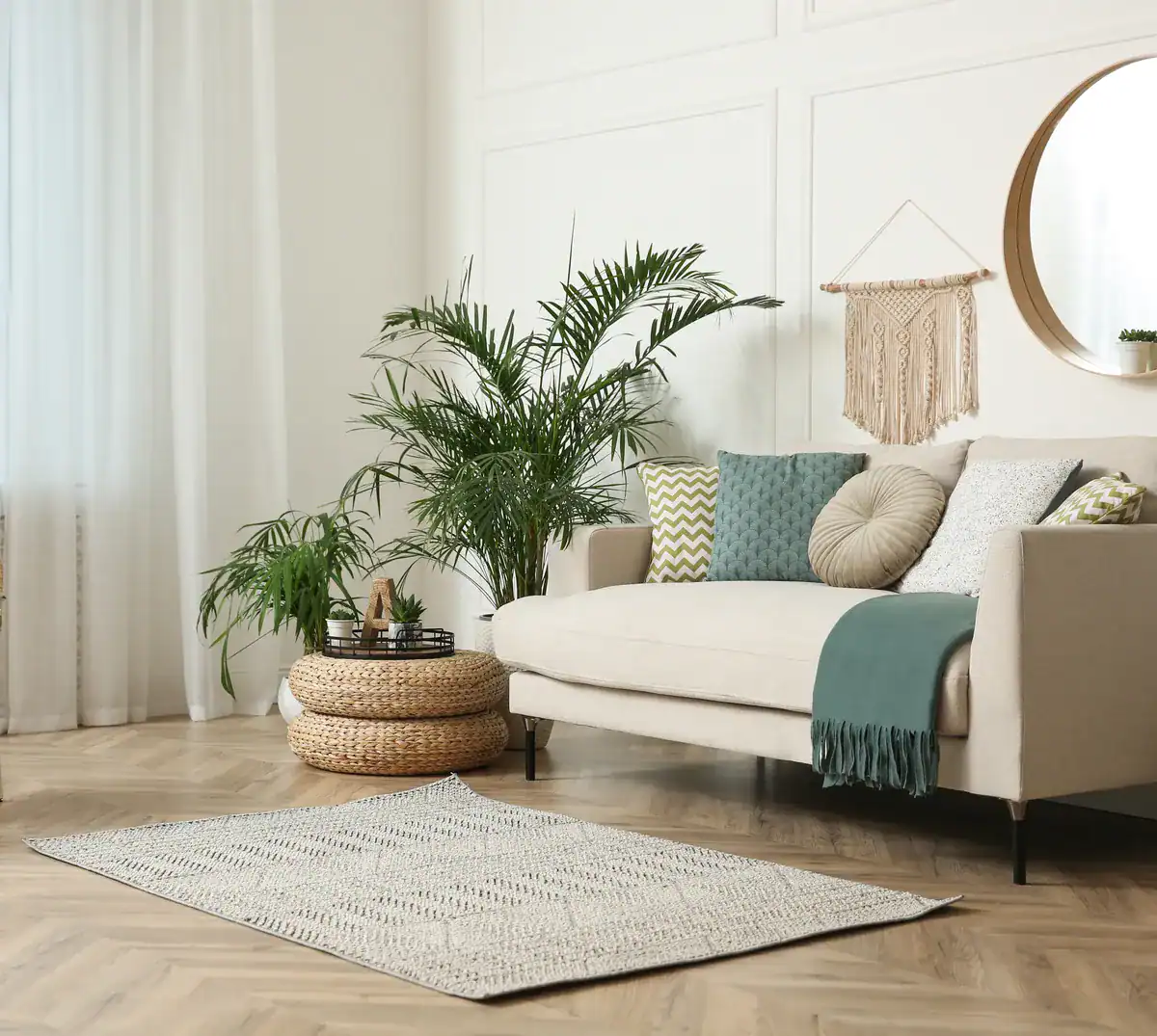 Living room with a sofa and plants