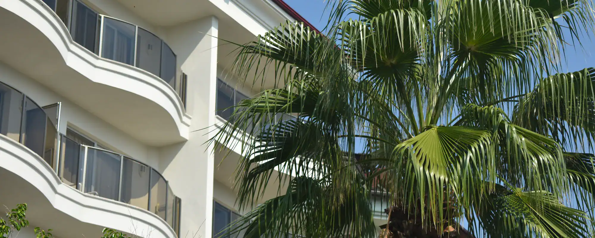 Modern house with palm trees