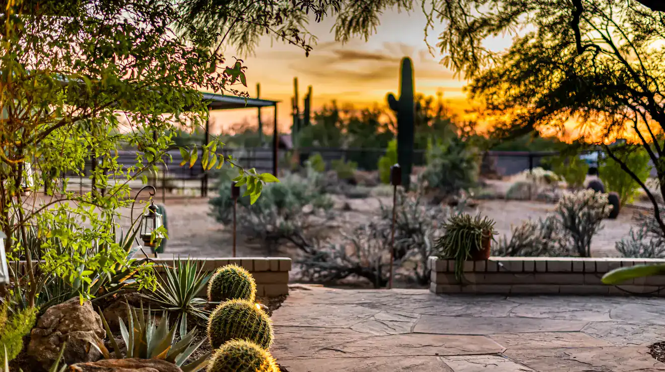 Desert patio and landscaping at sunset