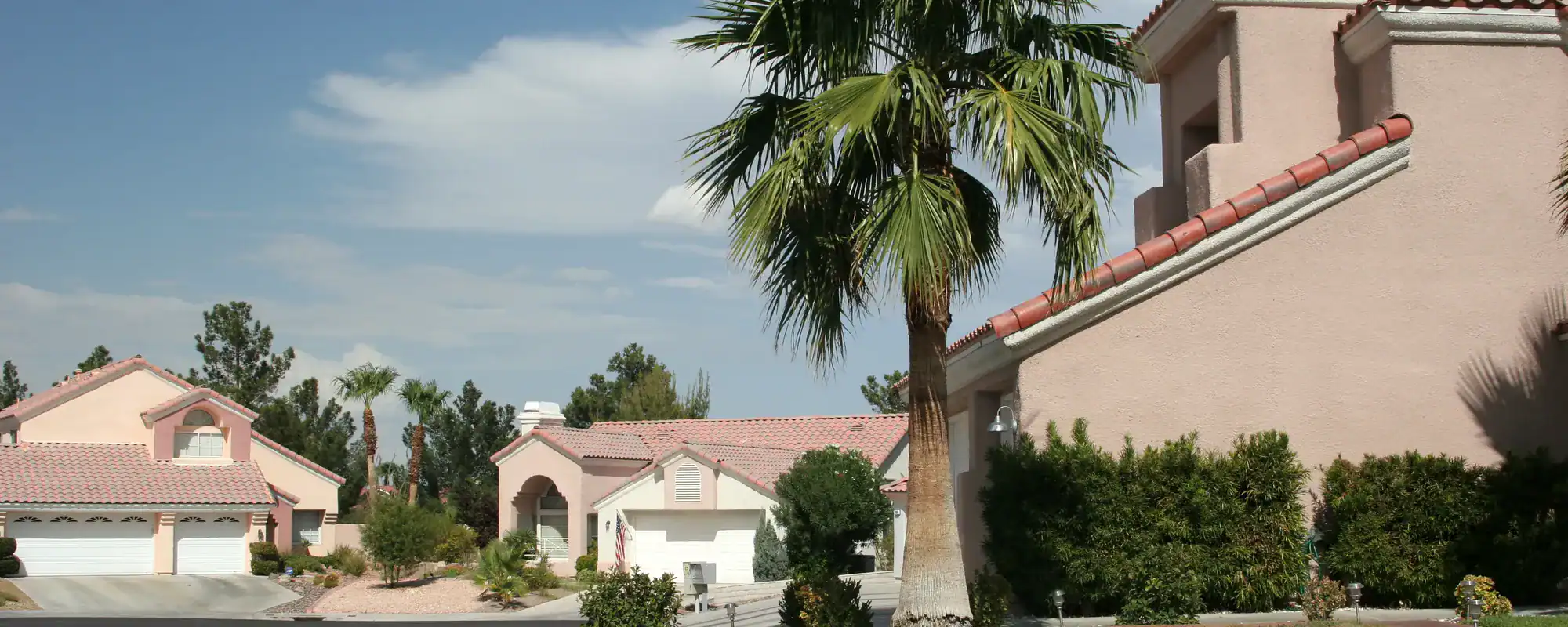 Stucco homes and palm trees on a sunny street