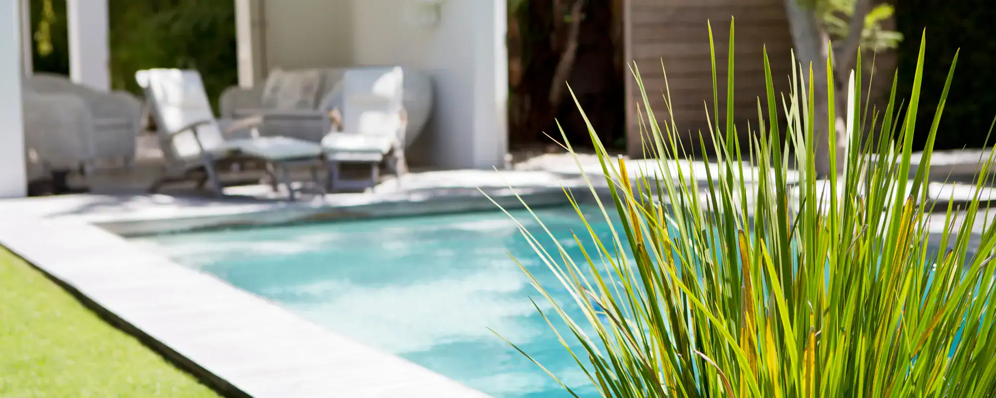 Swimming pool with plants in a backyard