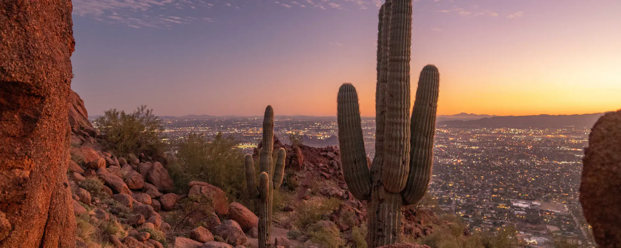 Saguaro on Camelback Mountain above the Phoenix skyline