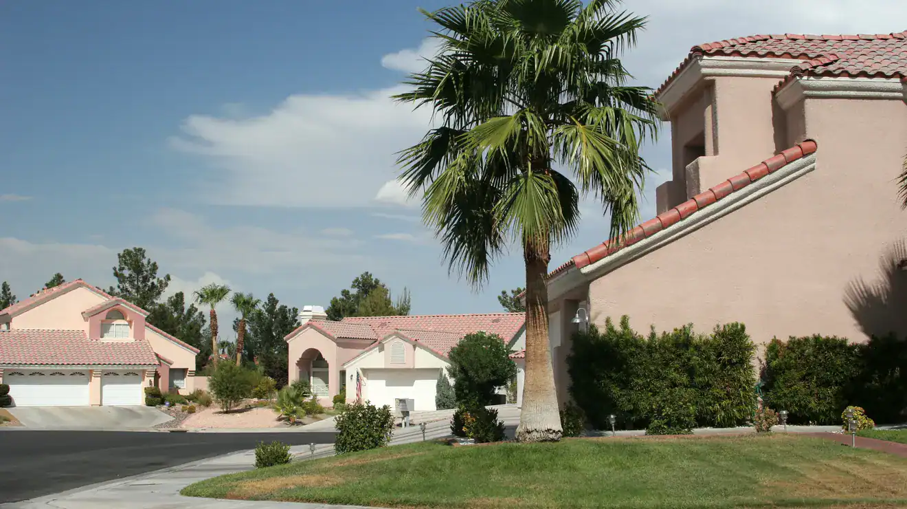Stucco homes and palm trees on a sunny street