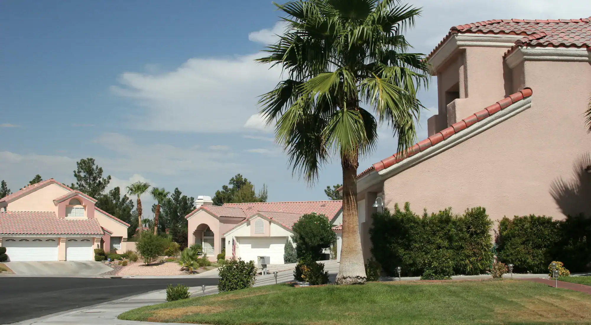 Stucco homes and palm trees on a sunny street
