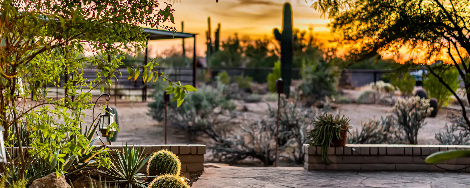 Desert patio and landscaping at sunset