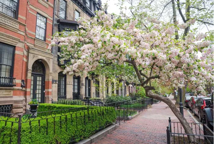 Homes in Beacon Hill
