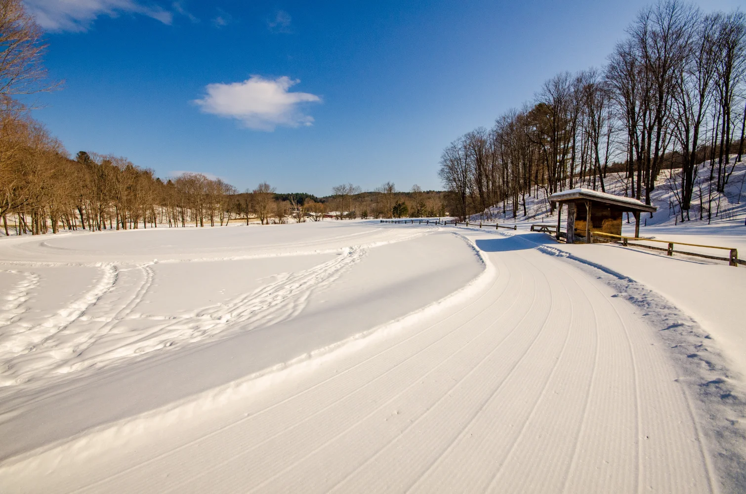 Grafton VT real estate