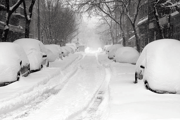January 1st Apartments in NYC