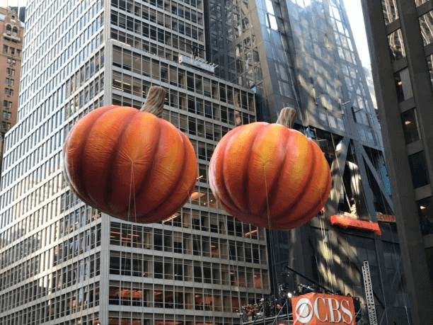 November 1st Apartments in NYC