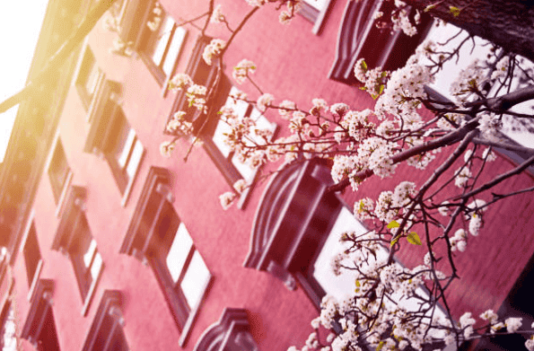 Secure an NYC Rental for May 1st with BCP Real Estate Group