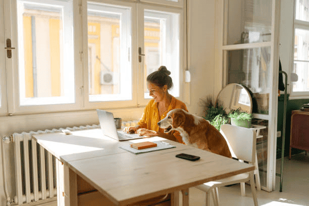 Navigating Pet-Friendly Rentals in Nashville, Memphis, Chattanooga, and Knoxville
