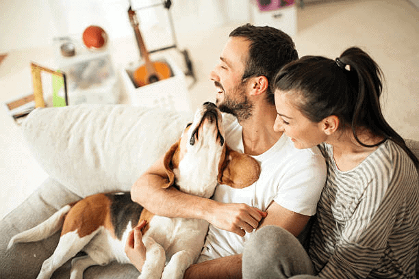 Rent-to-Own Properties in Tennessee
