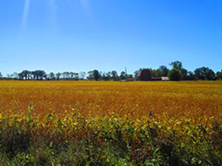 Estates of Bonner Hills, Tecumseh, MI