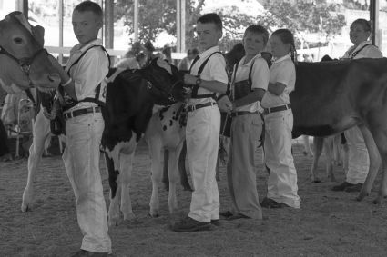 at the Addison County Farm and Field Days