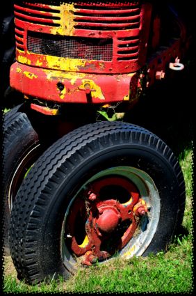 nostalgia at Dakin Farm