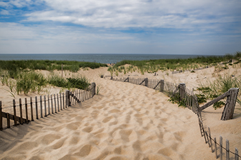 Provincetown Beach, Cape Cod
