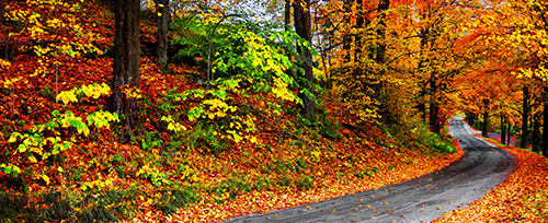 Central Vermont