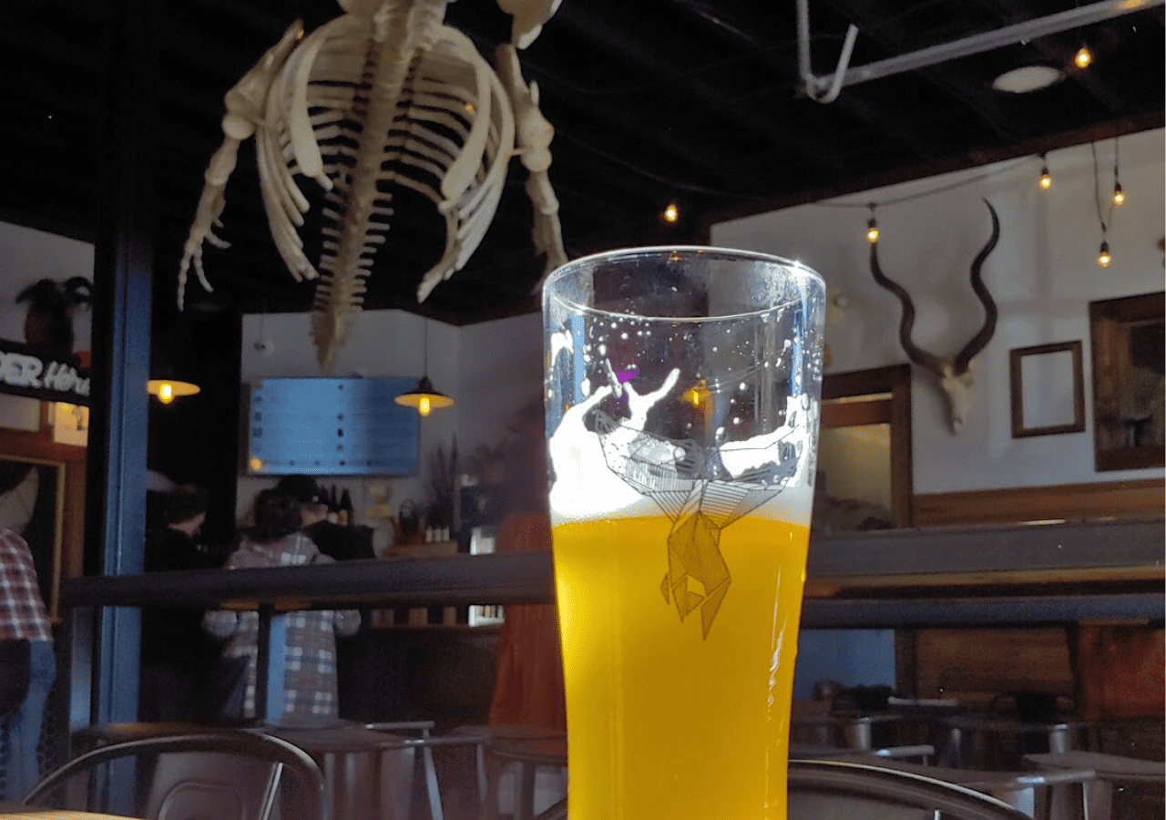 Beer in a pint glass