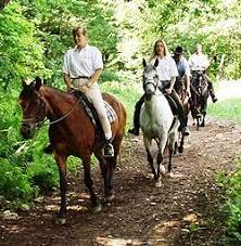 Rocky Ridge, Campton, NH