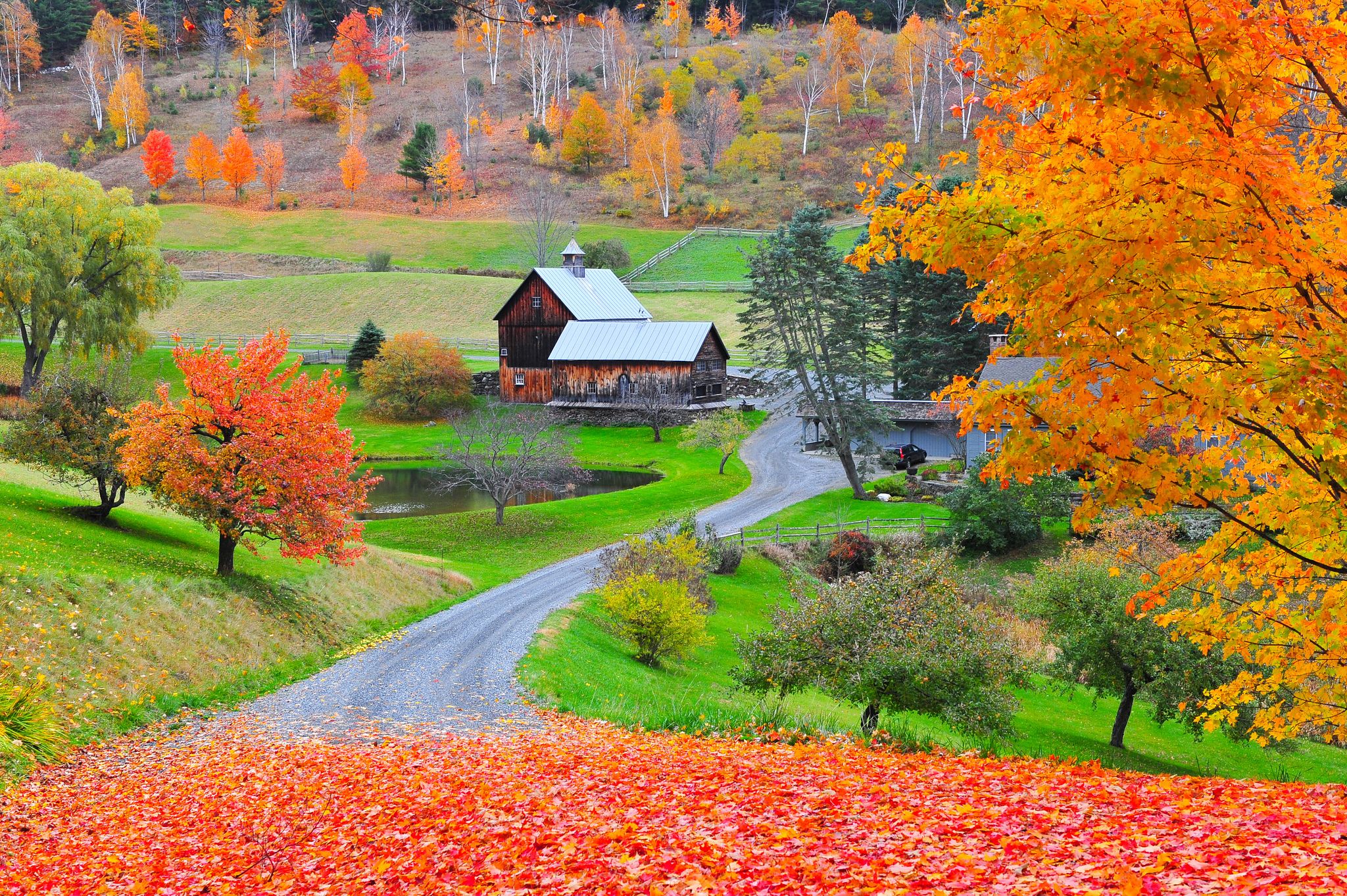 Vermont Fall Foliage Guide