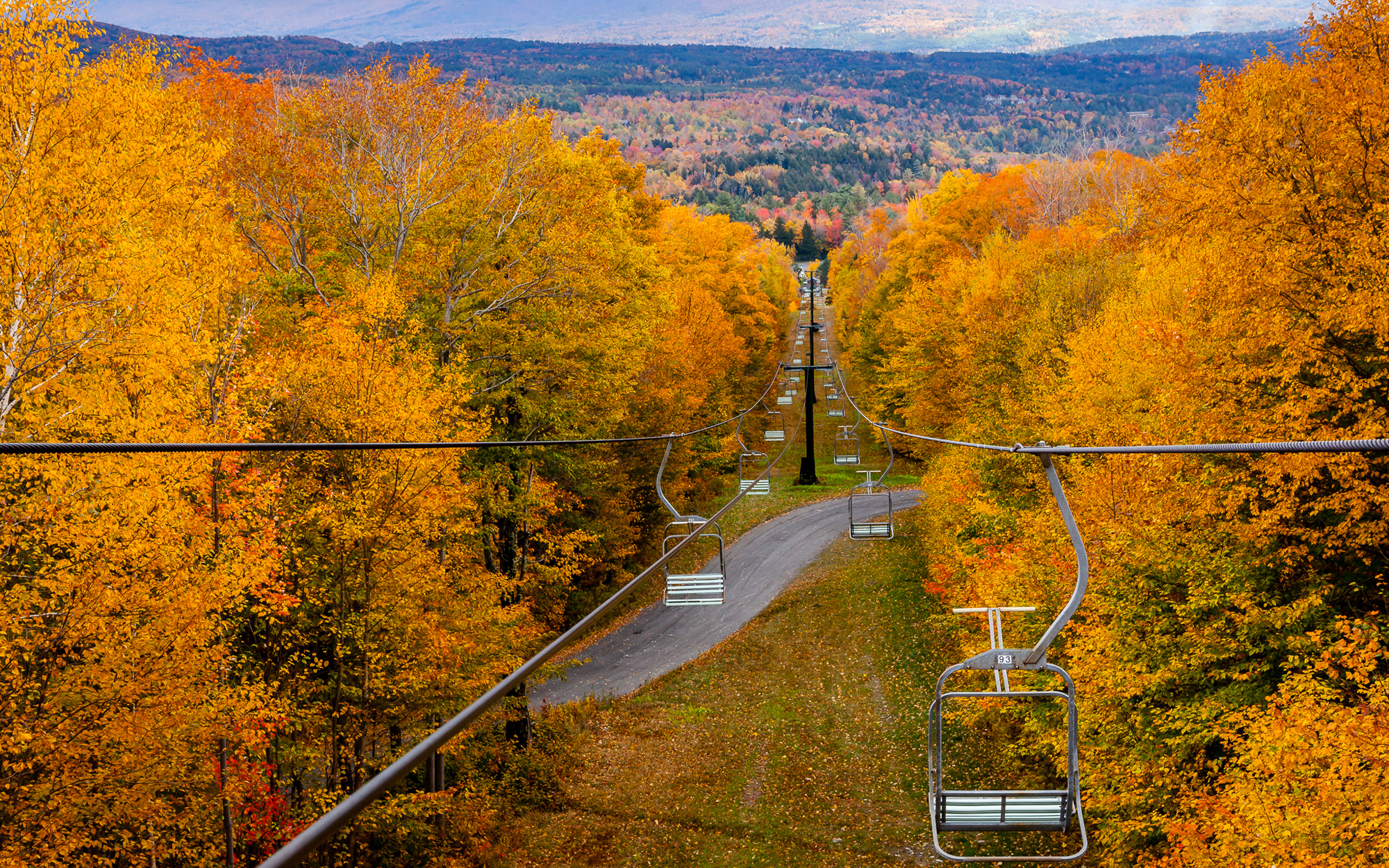 Fall Foliage Guide
