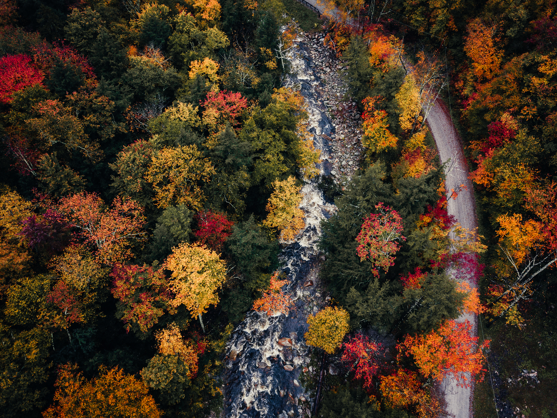 Vermont Fall Foliage Guide