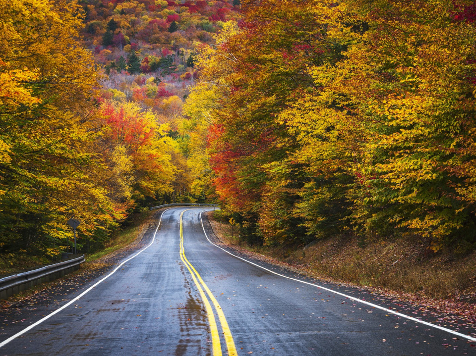 autumn road