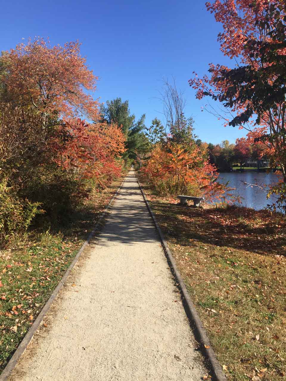 wolfeboro fall