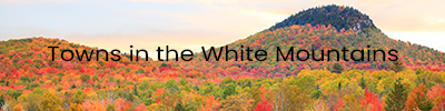 Header Image Titled 'Towns in the White Mountains