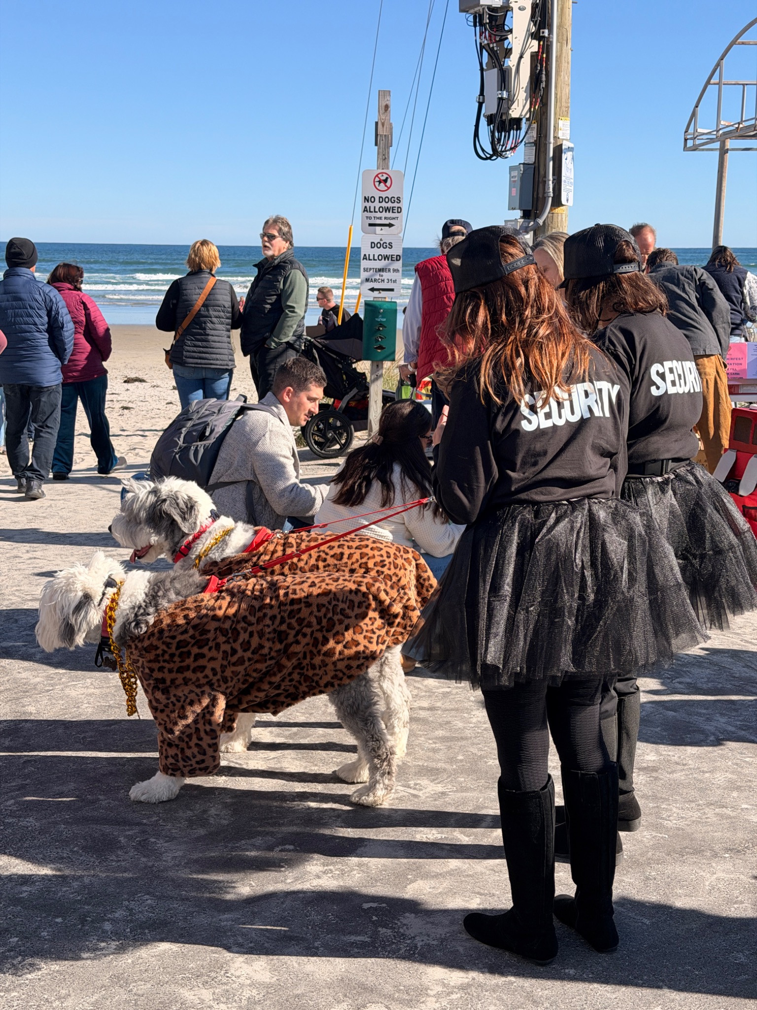 Two dogs in matching leopard-print costumes with people wearing security-themed outfits at Dogtoberfest