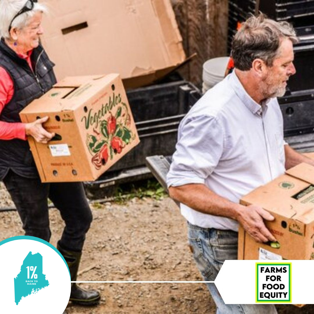 Students at The Ecology School. Portside Real estate Group, 1% for Maine,