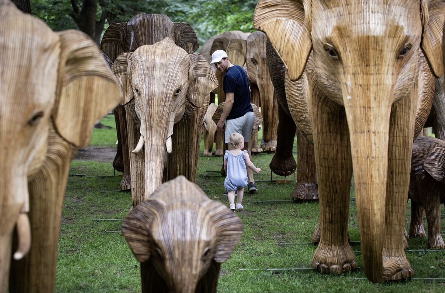 Elephants