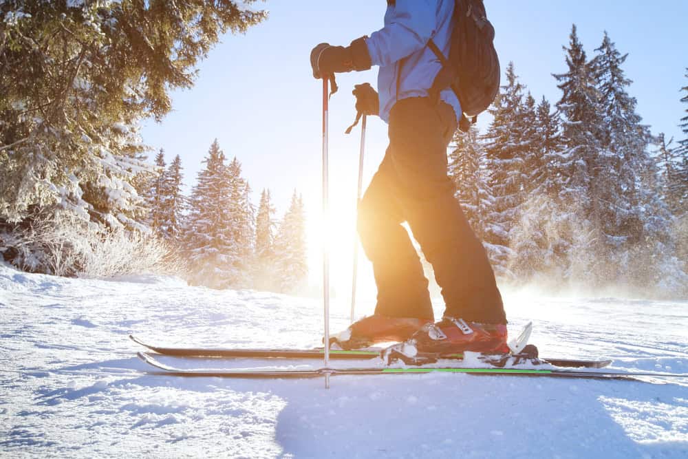 Skier