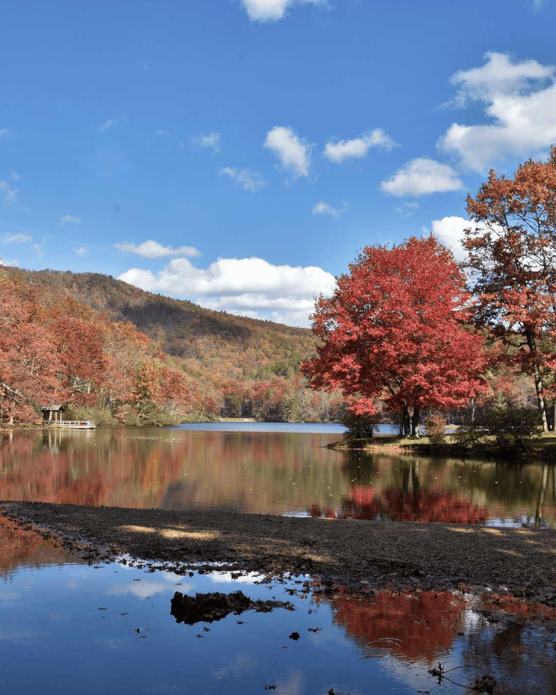 fall foliage in the blue ridge mountains