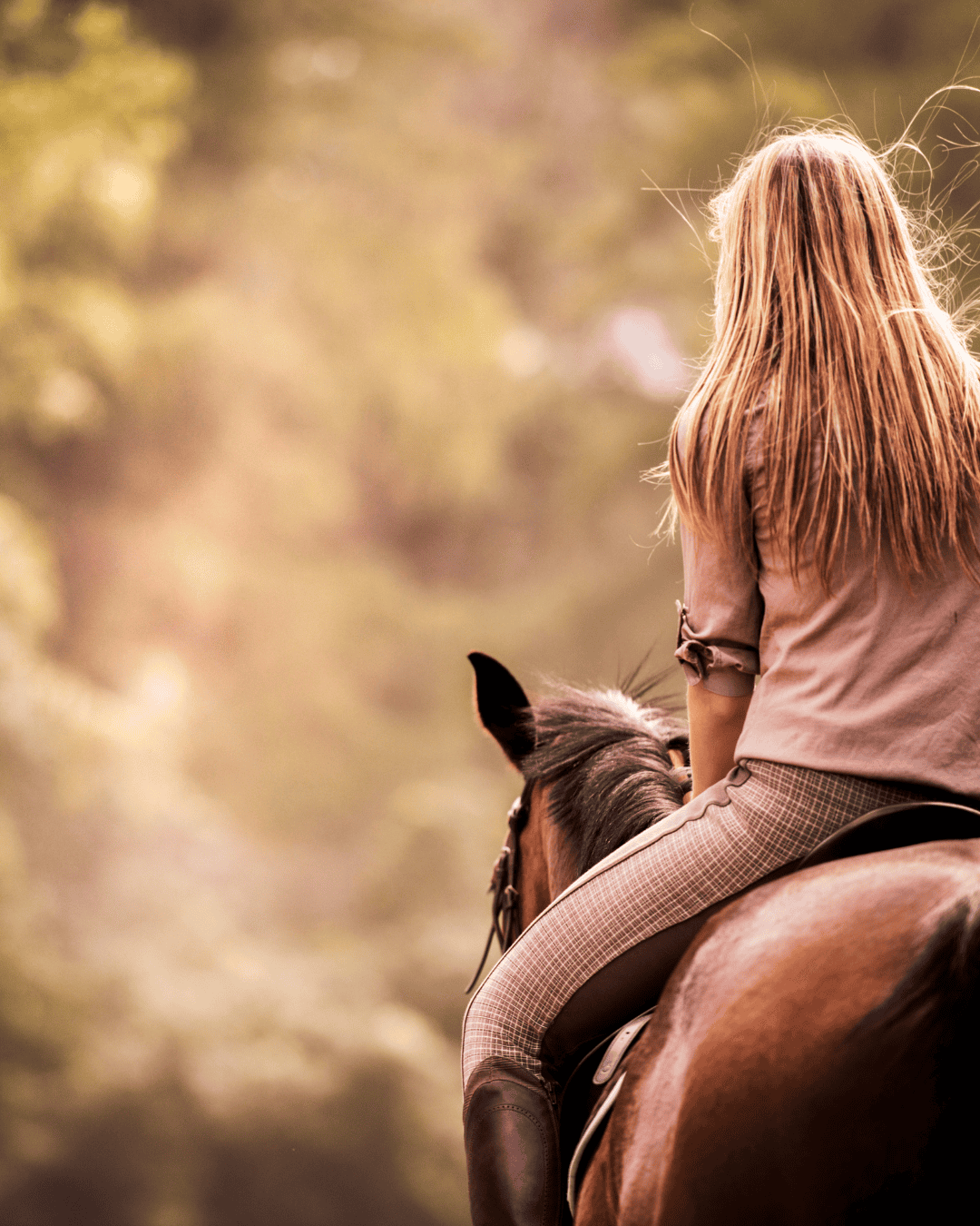 girl on horseback with trees in her foreground