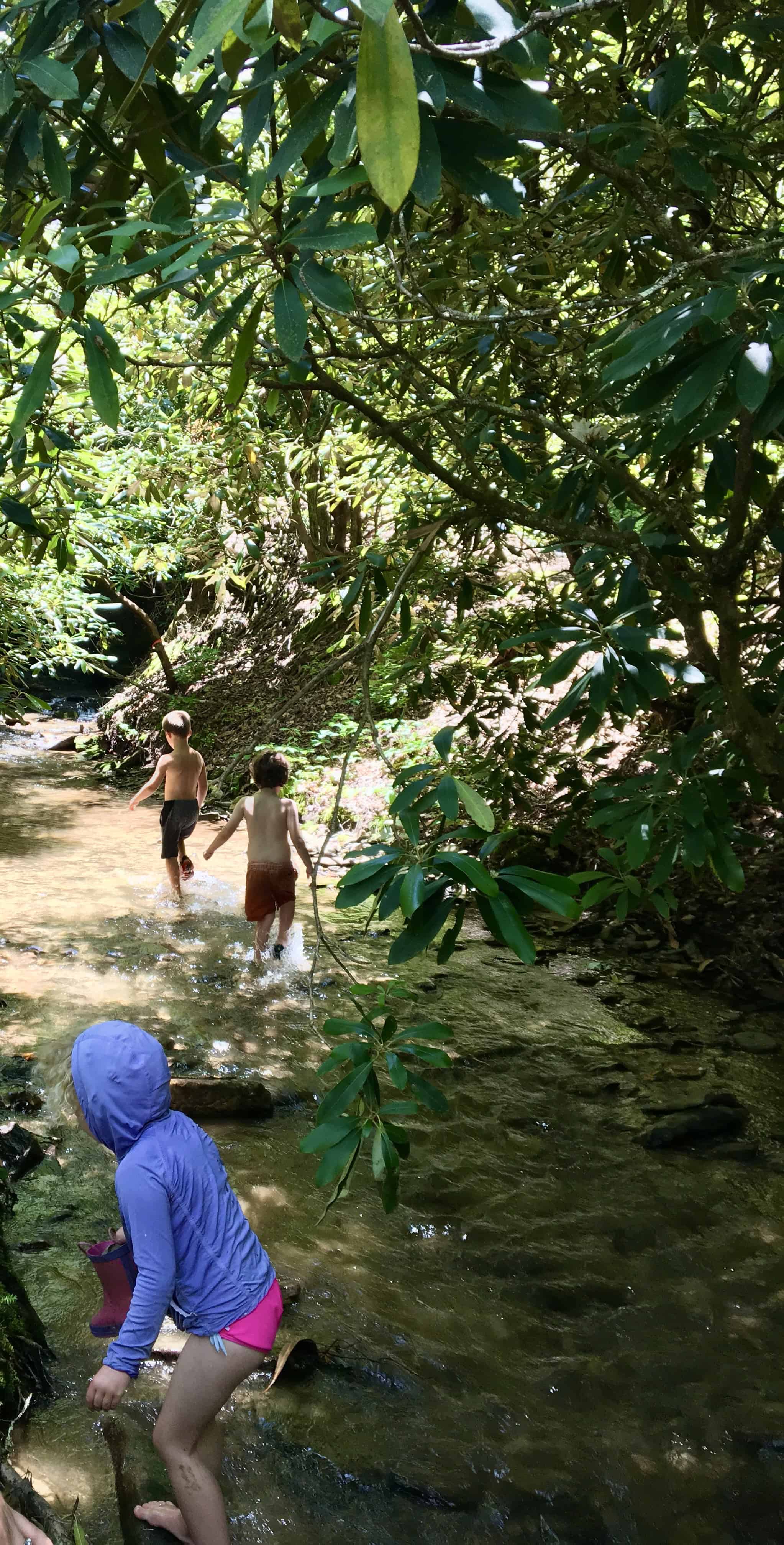 kids play in creek in Montreat, NC