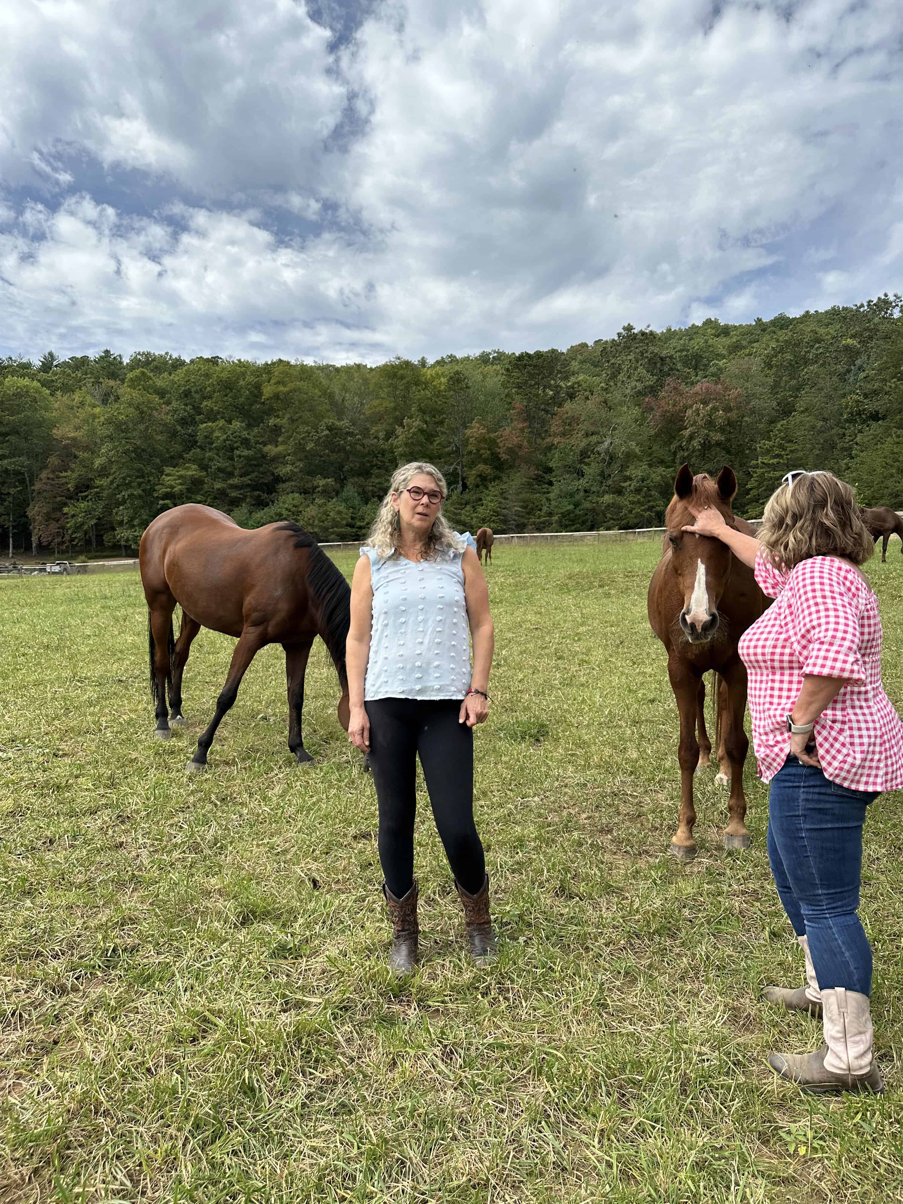 Mary Noble Braden and Shayne Hollifield in field with horses with the Blue Ridge Mountains as backdrop