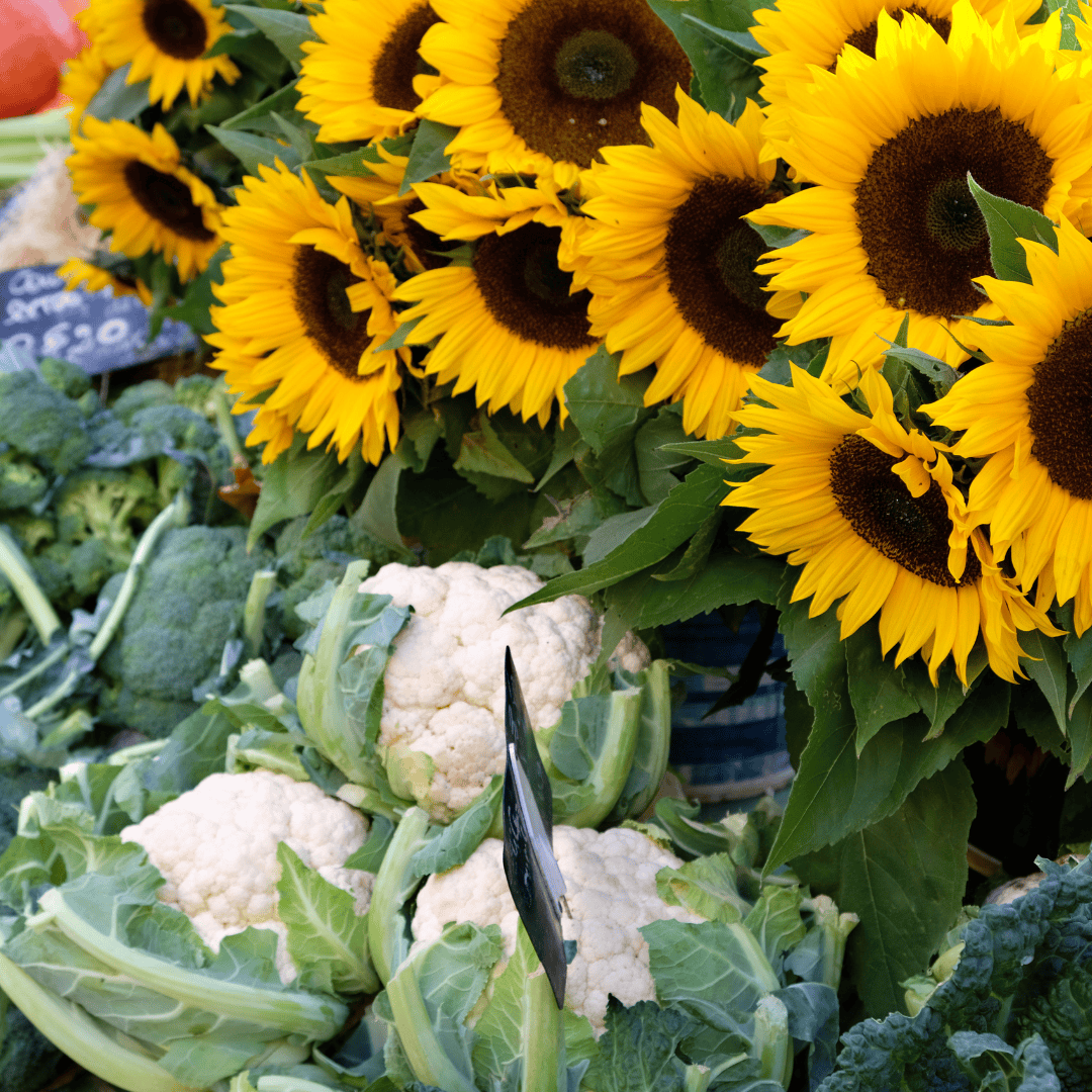sunflowers and cauliflower at the Black Mountain Tailgate Market